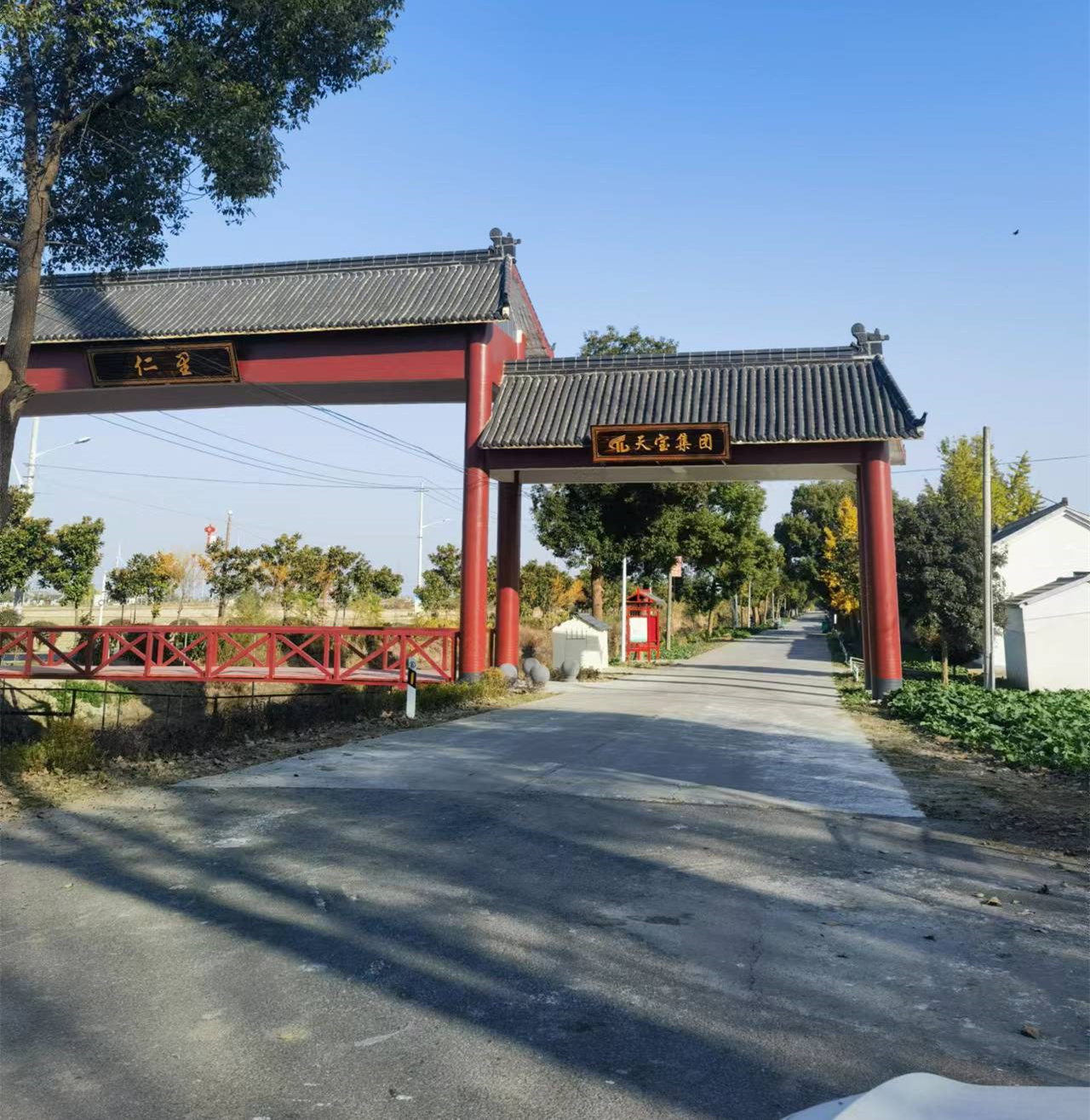 ˾μ2023̫ɼtyc122ccڼβ2024ͣ